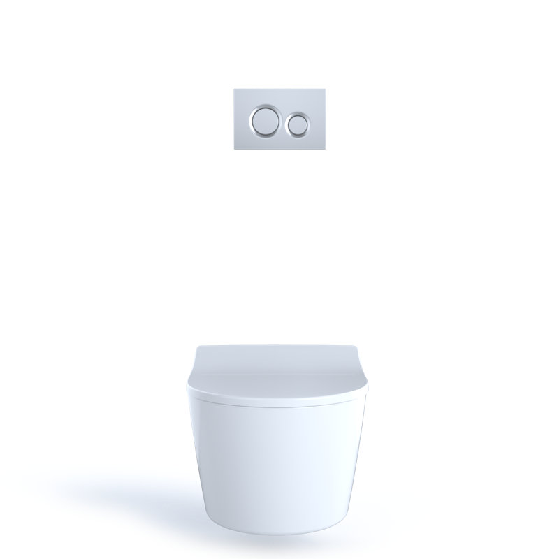 RP™ Dual-Flush D-Shape Front Bowl Wall Hung Toilet (Seat Included), Matte Silver