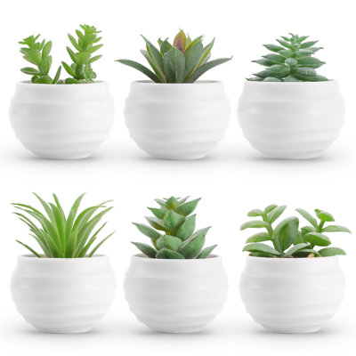 Ensemble de 6 plantes succulentes artificielles