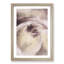 Pale Pink Rose - Framed Print-55578191-55578193