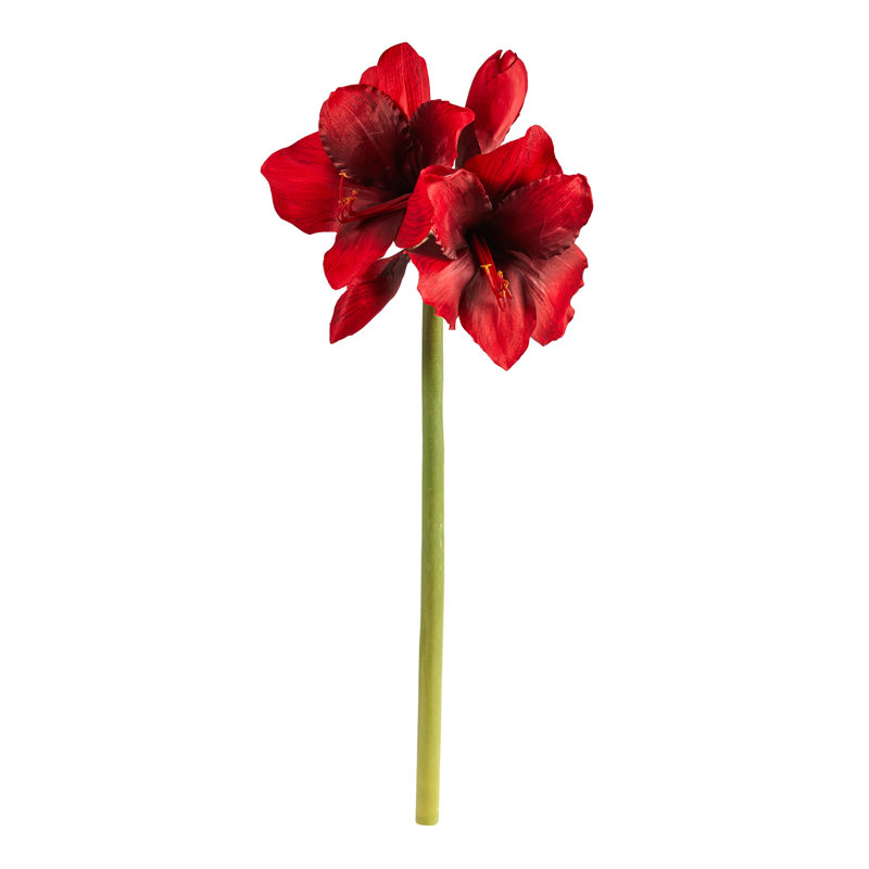 Amaryllis Arrangement, Christmas Red