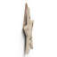 Spell Casting In Progress Wooden Star Plaque-165007756