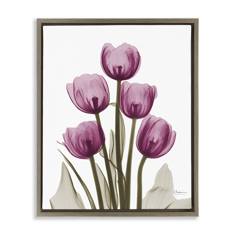 Tulipes roses à rayons X, H 17 po x l 21 po, Cadre flottant orme Montalcino