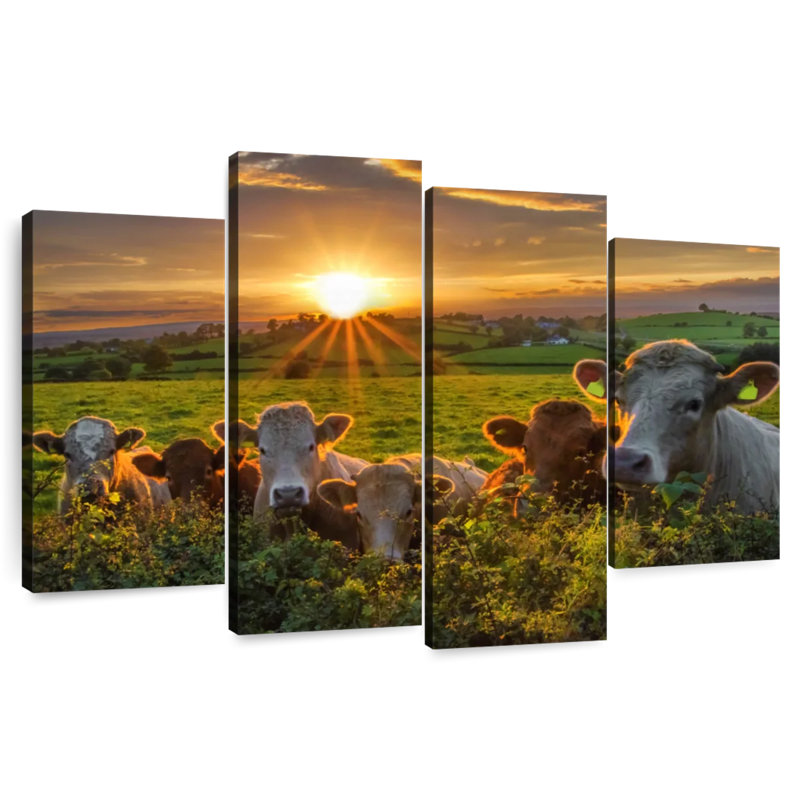 Brampt Sunset Cows