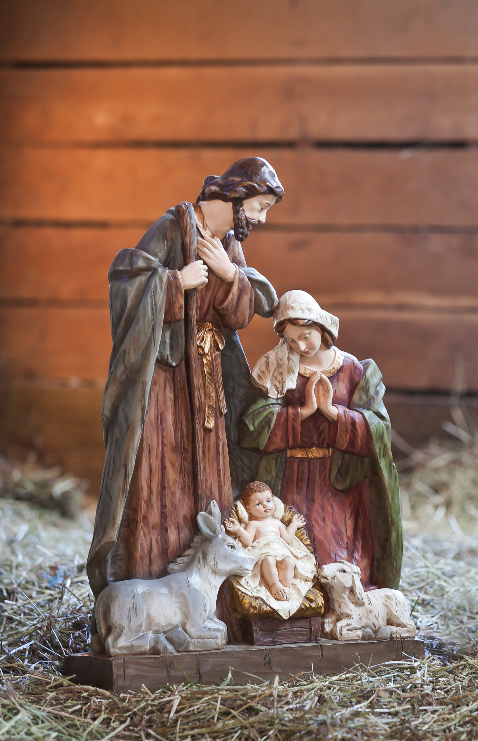 The Holiday Aisle® Carnaghliss Nativity Garden Statuary with Mary