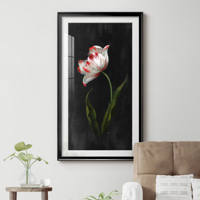 Master Botanical II - Reproduction d'art graphique sur papier encadré