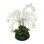 Orchid Centerpiece in Ceramic Pot