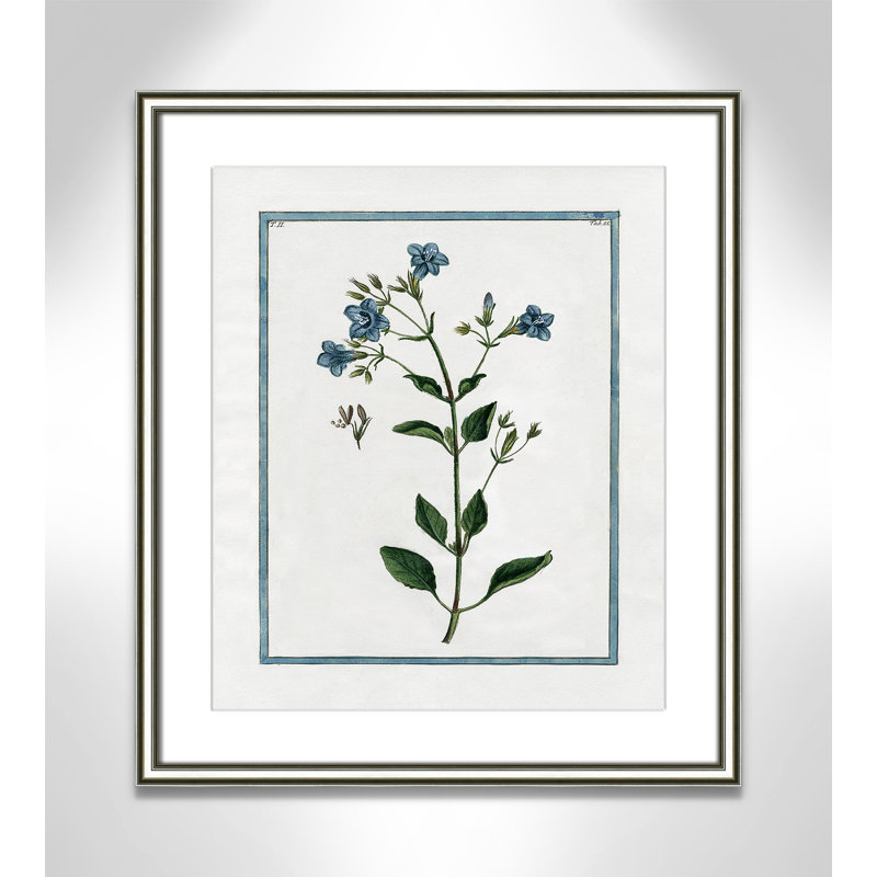 Colombe Shabby Elegance Botanical II - Art encadré, L 17,25 po x H 20,25 po, Cadre argenté