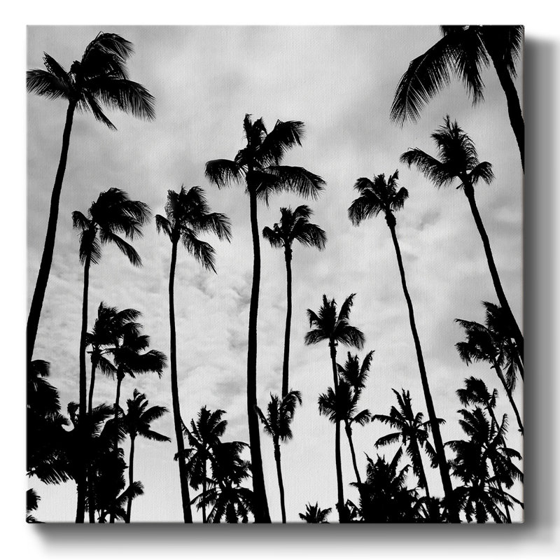 Palm skies sur toile, H 24 po x l 24 po x P 1,5 po