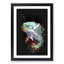 Fiji Iguana - Framed Print-56742631-56742636