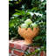 Pot de fleurs en céramique-50088937-50088935