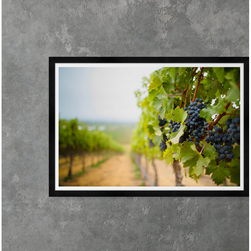 Grapes in The Vineyard Framed Photographic Print