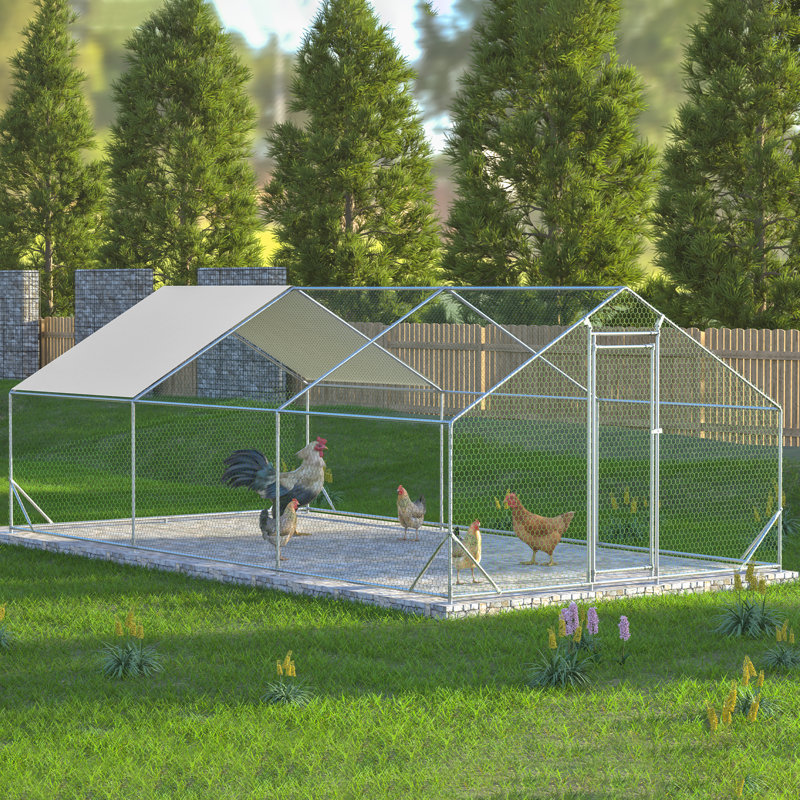 Cage à poules en métal Crellen, H 79 po x l 120 po x P 240 po