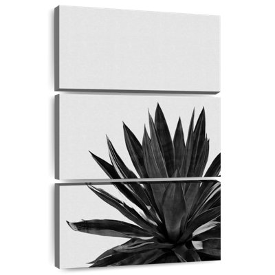 Harnek Agave Cactus BW