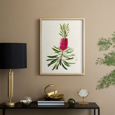 «Pretty Pink Botanicals VII», reproduction encadrée - bois massif