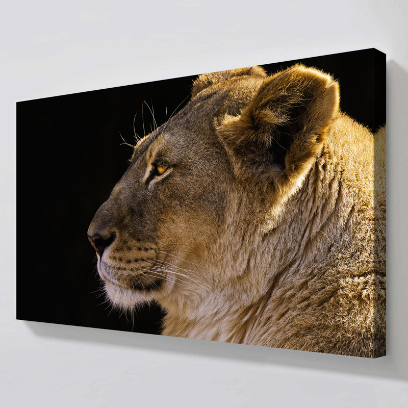 "The Queen" par Danita Delimont, reproduction sur toile, H 36 po x l 60 po x P 1,5 po