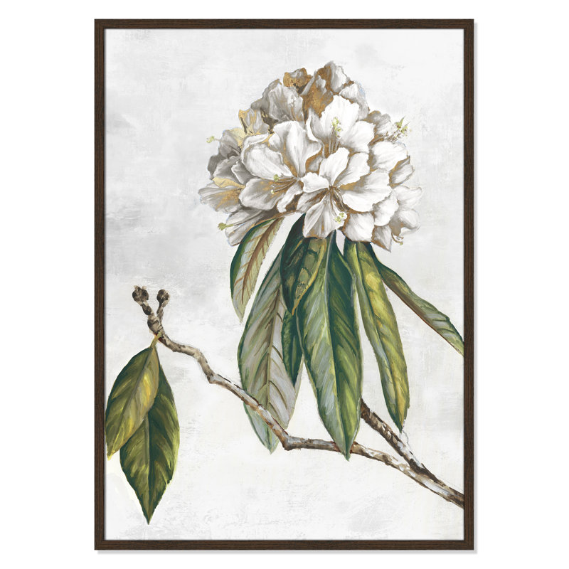 «Pearly Beauty II» par Eva Watts, Grain de bois noyer, L 29,5 po x H 41,5 po, Impression encadrée