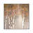 Sunlit Birch II by Carol Robinson - Painting on Canvas-1209463240-1209463247