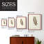 Scops Eared Owl - reproduction encadrée de qualité supérieure - prête à être accrochée - aucun clou requis - aucun clou requis-811251297-811251322