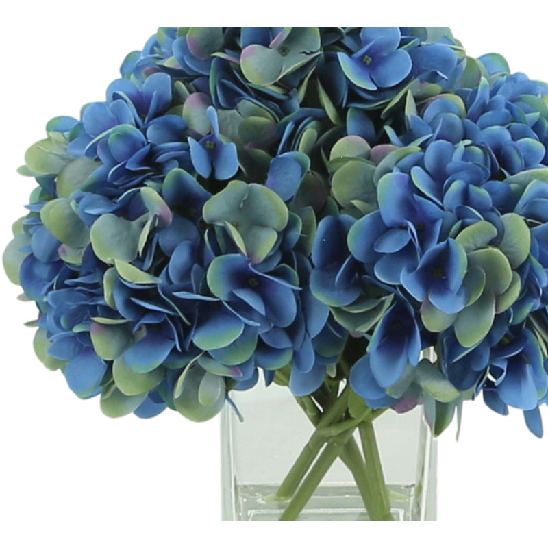 Hydrangea in Blue