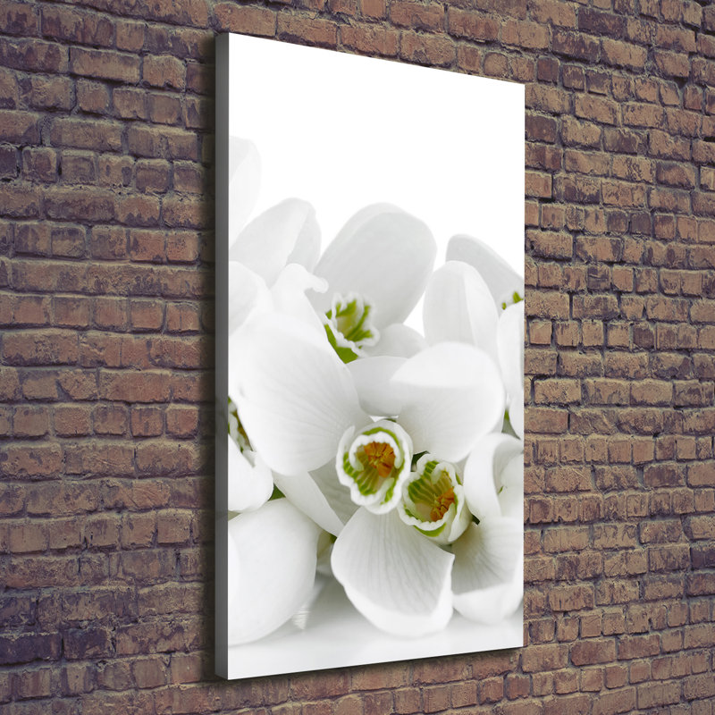 White Snowdrops - Wrapped Canvas Print