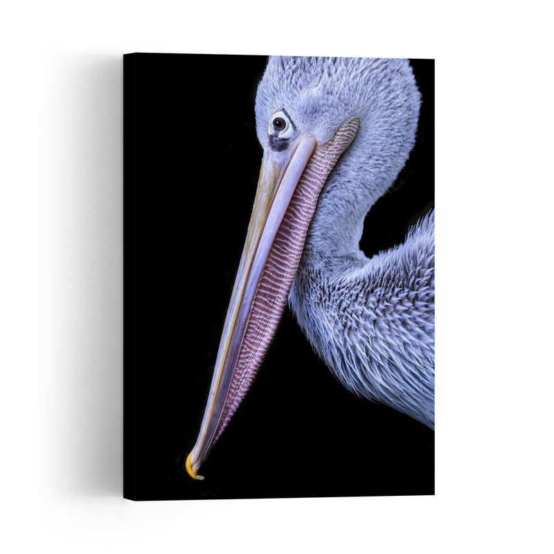 Graceful Pelican Portrait Elegant Minimalist Bird Pelican Nature Portrait Wall Art Print 1 Piece Wrapped Canvas Wall Art