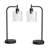 Desk Lamp With USB Ports, and 2 Bulbs Included