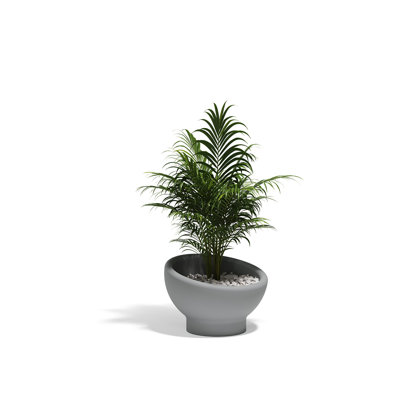 Luna Planter