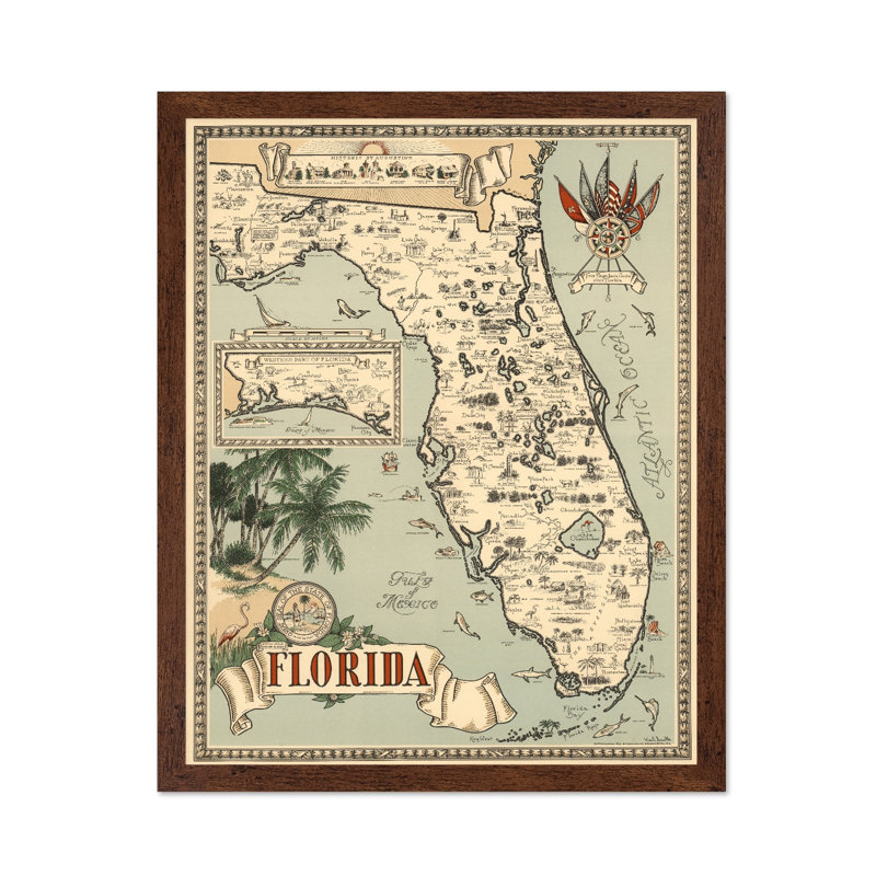 Carte des poissons de la Floride, H 08 po x l 10 po, Affiche, Encadrement brun
