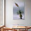 Succulent Harnek Yucca-117574787