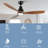 Farmhouse 52'' Distressed Wood Ceiling Fan with LED Lights, DC Motor and Remote Control-633359755