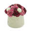 Assorted Sedum in Fiberstone Pot