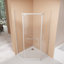 Cabines de douche et baignoire pivotantes sécurisées, en verre 36 x 72, salle de bain moderne