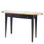 Toulouse 50'' W Glass Console Table