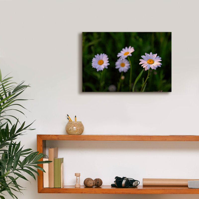 'Leucanthemum' by Rick Berk Canvas Wall Art
