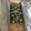 Customer photo 3 of 5