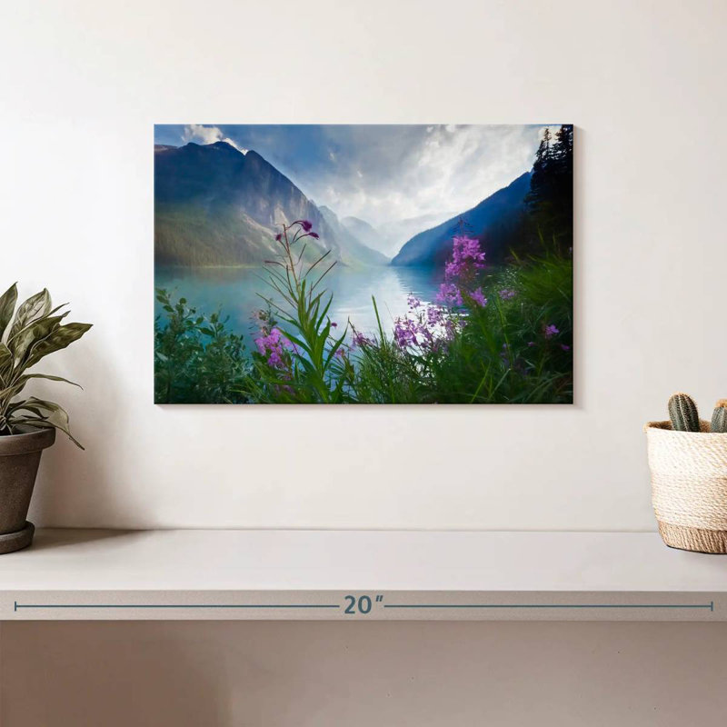 Alvord Lake Louise Blooms, 8" H x 12" W