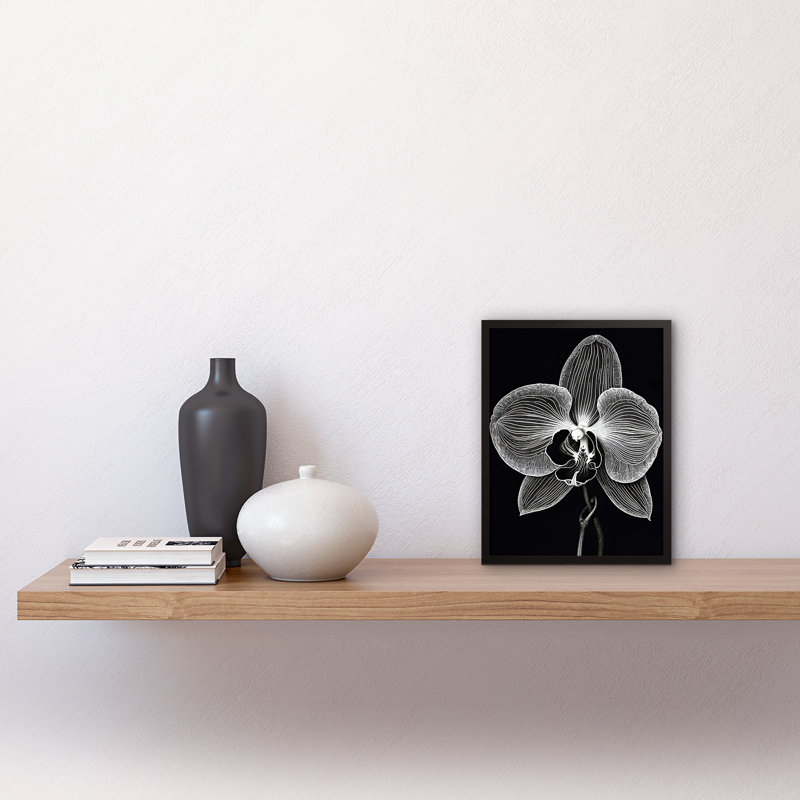 Maitte Orchid Flower Bloom Black And White Blind Contour - Single Picture Frame Print
