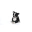 Sleepy Boston Terrier Puppy Statue Sitting