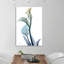 Gold Splash Calla Lilly - Wrapped Canvas Print-1417334044