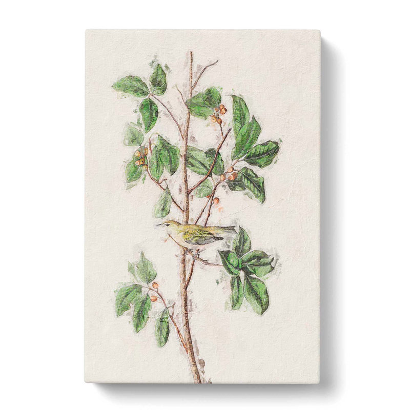 Tennessee Warbler Bird by John James Audubon - Wrapped Canvas, 60cm H x 40cm W x 3cm D