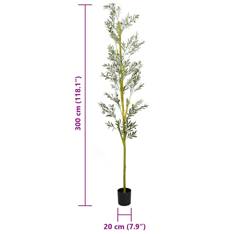 300cm Plant
