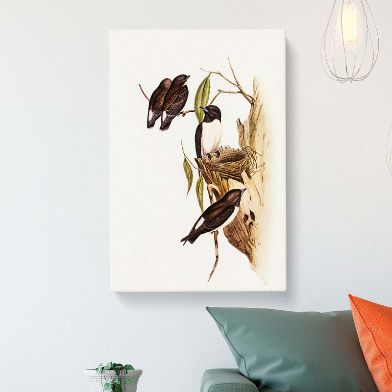 White Rumped Woodswallows by Elizabeth Gould - Wrapped Canvas, 60cm H x 40cm W x 3cm D