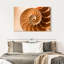 Coque Aletra Nautilus à l'intérieur-107680919