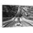 Tame the River by Filipe P Neto Photographic Print on Canvas-1949560345