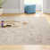 Kriebel Oriental Indoor Rug