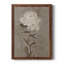 "Jolie comme une pivoine", "Jolie comme une pivoine", reproduction d'art sur toile-88451735-88451732