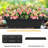 Ninos Vertical Garden-43188311-43188310