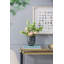 Vase de table en verre Abels-1503765805