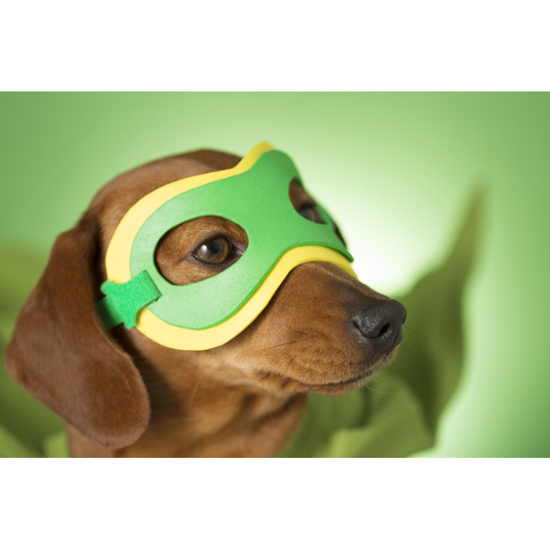 Chien masqué super-héros par Mrpliskin, H 8 po x l 12 po