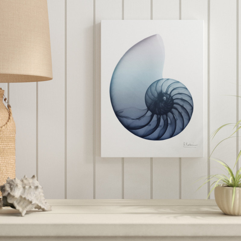 Lavendar Snail 4 - Wrapped Canvas Print, 41 cm H x 30 cm W